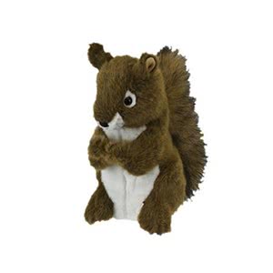 Daphnes Squirrel Headcover