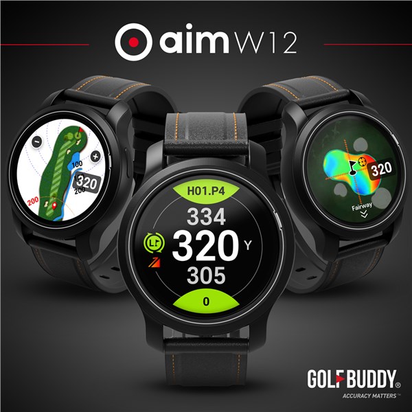 golfbuddy aim w12 ex11