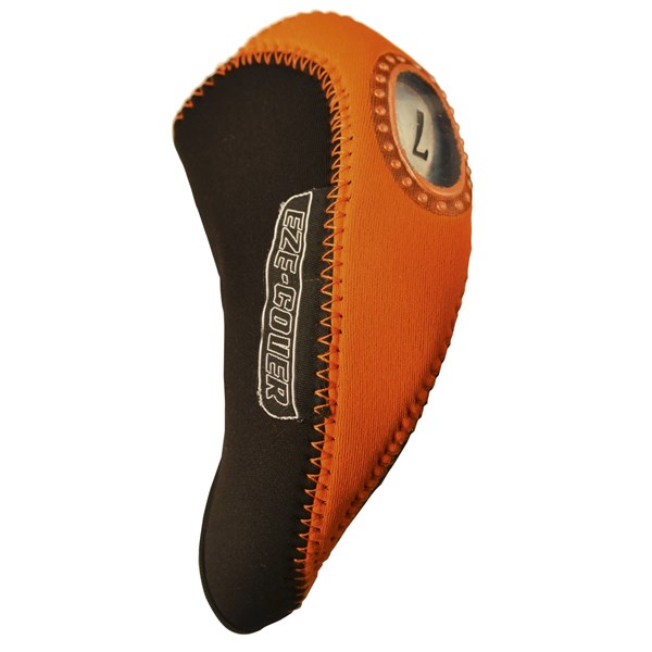 ICNEBWS_headcover1.jpg