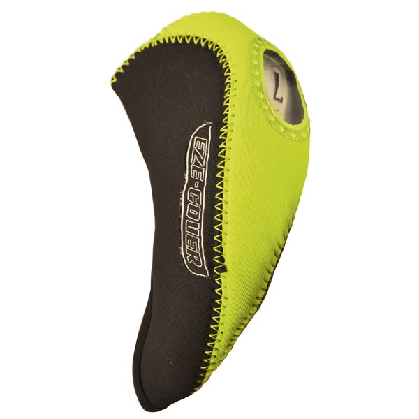 ICNEBWS_headcover2.jpg