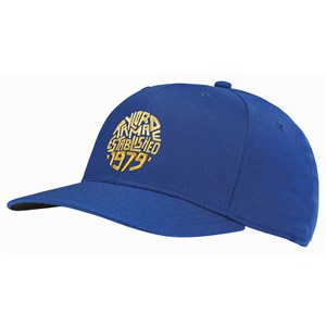 TaylorMade Structured Logo Cap