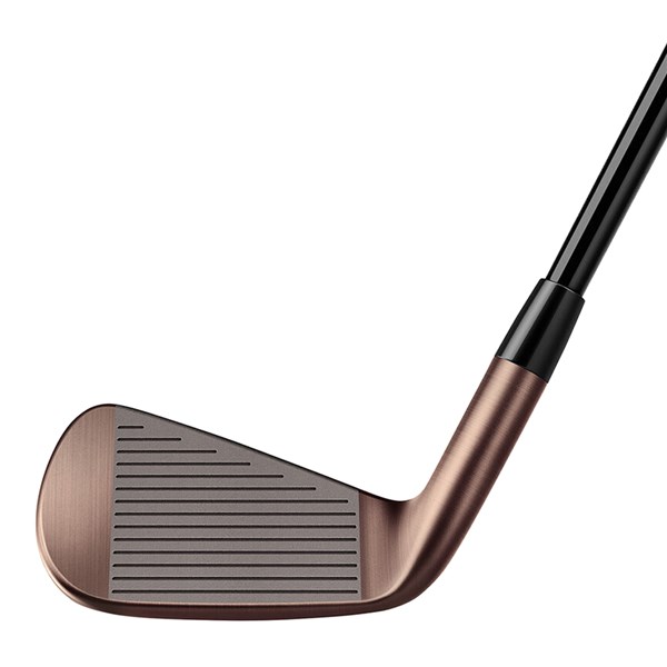 p790 aged copper irons ex2