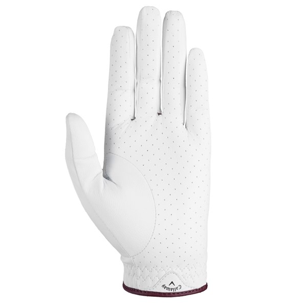 reva glove ex2