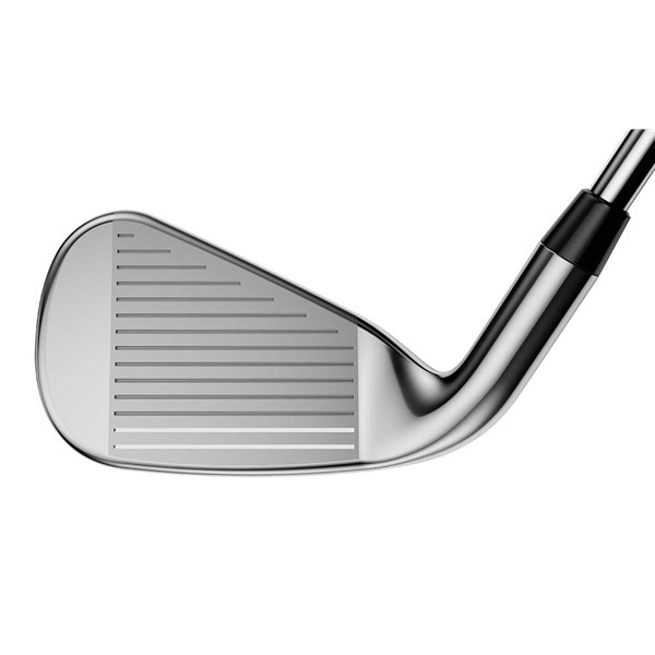 rogue20 irons ext1