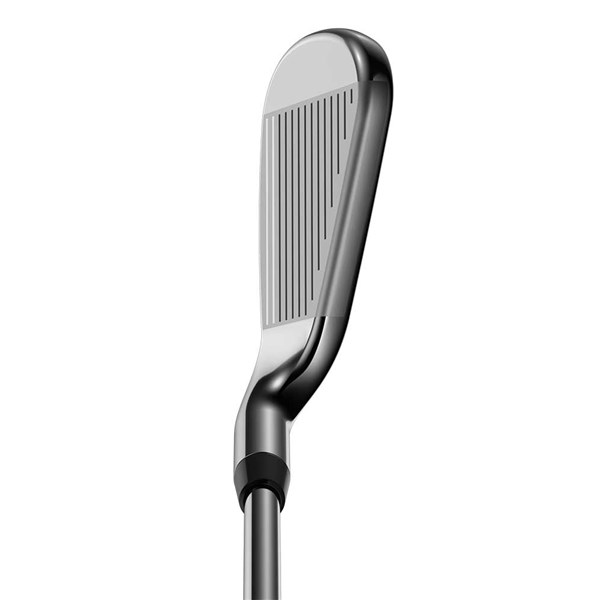 rogue20 irons ext3